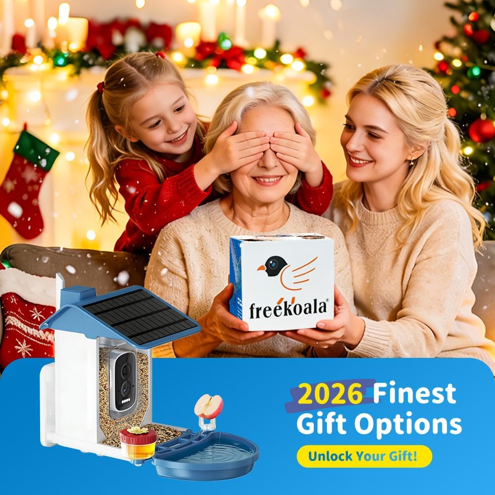 Freekoala 4K Camera Bird Feeder - Blue