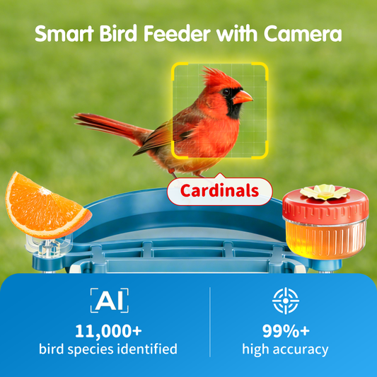 Freekoala 4K Camera Bird Feeder - Blue