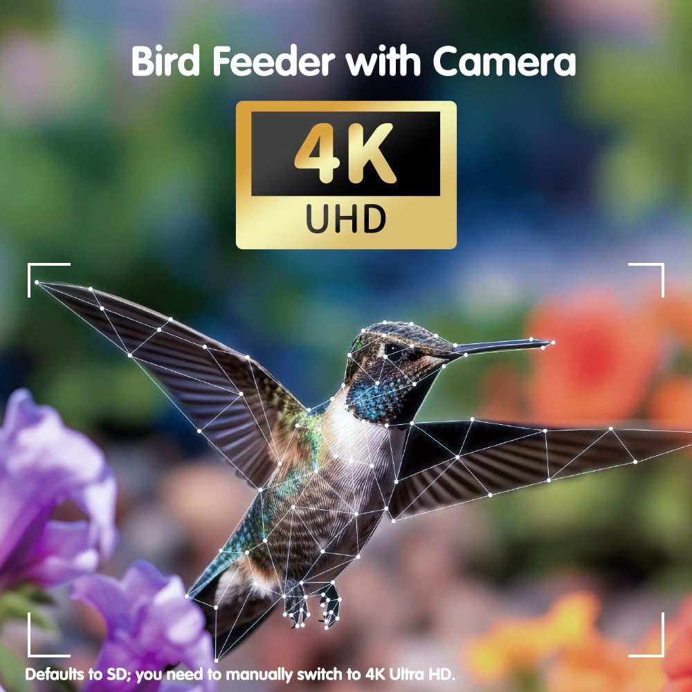 Freekoala 4K Camera Bird Feeder - Blue