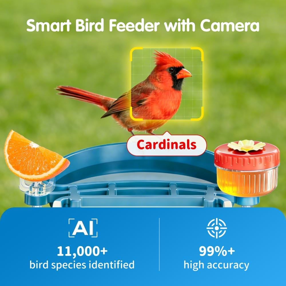 Freekoala 4K Camera Bird Feeder - Blue