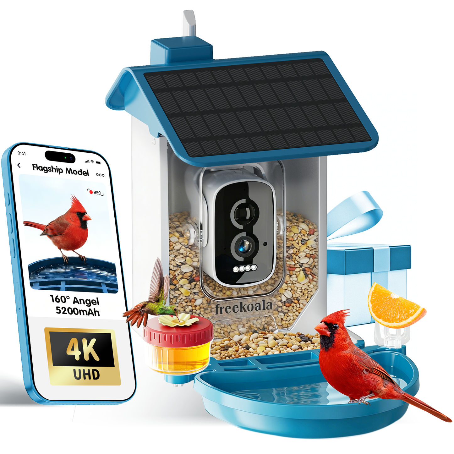 Freekoala 4K Camera Bird Feeder - Blue