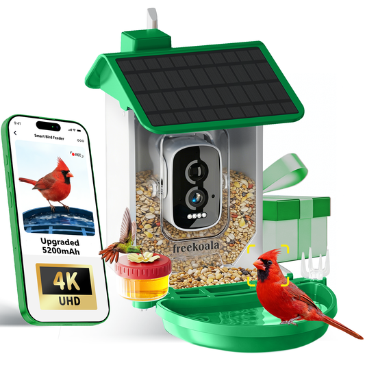 FreeKoala 4K Camera Bird Feeder - Green