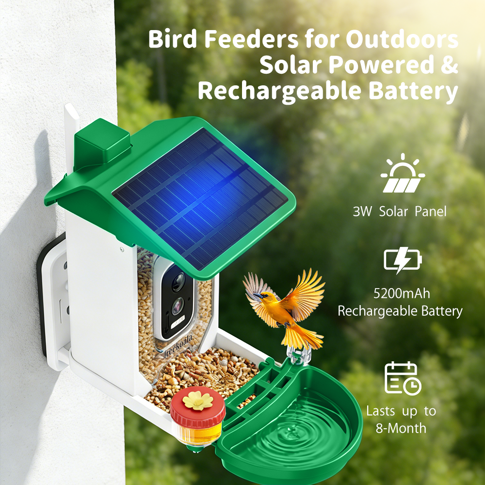 FreeKoala 4K Camera Bird Feeder - Green